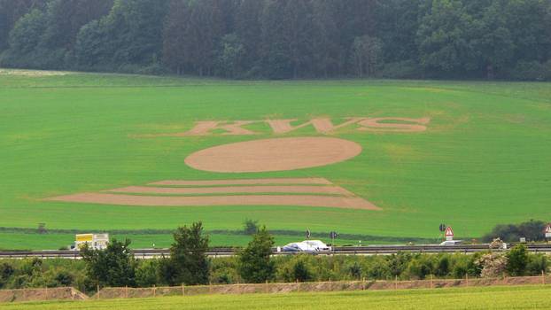 Edesheimer Wald mit KWS-Logo