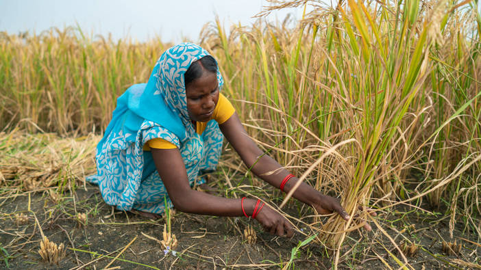 Indiens Lieferketten unter Druck